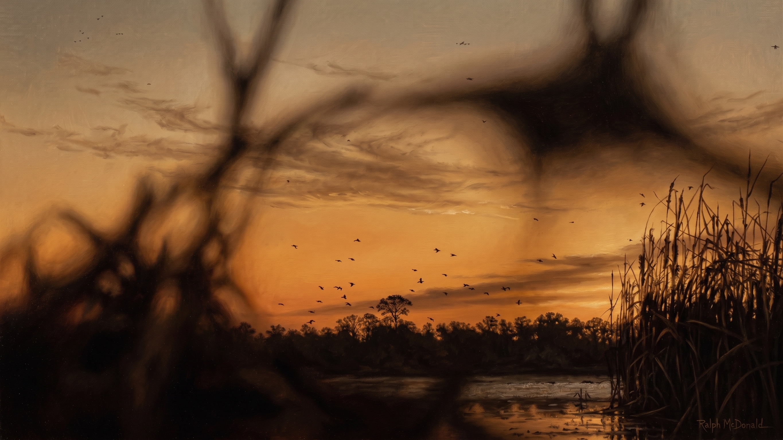 Hunting photo